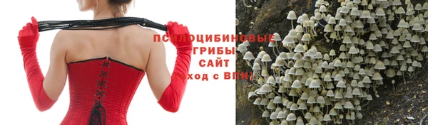 скорость Алексеевка